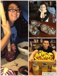 Unplugging to Reconnect: Homesteading and the Kids’ Higher Education, Part 3 Image